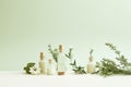 Herbs in glass bottles, traditional botanical medicine. Pagan Wiccan witchcrarft. Herbal apothecary aesthetic