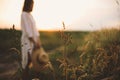 Herbs and grasses in sunset light on background of blurred woman in summer meadow. Wildflowers close up in warm light and rustic Royalty Free Stock Photo