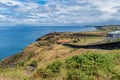 Herbs and green ferns on a viewpoint cliff by the sea, village and horizon, Fenais da Luz - SÃ£o Miguel, Azores PORTUGAL