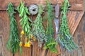 Herbs Hanging and Drying