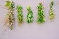 Herbs hanging on a rope for a herbal tea Royalty Free Stock Photo