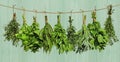 Herbs hanging from rope Royalty Free Stock Photo