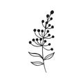 Herbs icon vector set. herbarium illustration sign collection. herb symbol. plant logo.