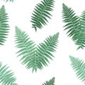 Herbs and Leaves Botanical Seamless Pattern. Fern Leaf Natural Background. Floral Forest Field Plants Design Wallpaper