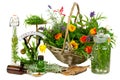 Herbs for medicine Royalty Free Stock Photo