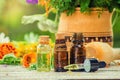 Herbs in a mortar. Medicinal plants. Selective focus.