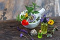 Herbs in mortar with pestle and organic essential aroma oil in glass bottle isolated on rustic background. Herbal