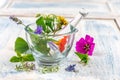 Herbs in mortar with pestle and organic essential aroma oil in glass bottle isolated on rustic background. Herbal Royalty Free Stock Photo