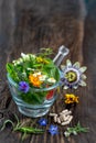 Herbs in mortar with pestle and organic essential aroma oil in glass bottle isolated on rustic background. Herbal Royalty Free Stock Photo