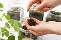 Herbs, natural remedies Royalty Free Stock Photo