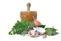 Herbs,onions,garlic and pestle Royalty Free Stock Photo