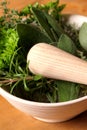 Herbs with pestle and mortar Royalty Free Stock Photo