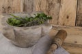 Herbs and pestle and mortar Royalty Free Stock Photo