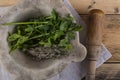 Herbs in pestle and mortar Royalty Free Stock Photo