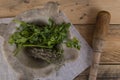 Herbs with pestle and mortar Royalty Free Stock Photo