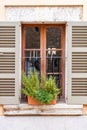 Herbs in plant pots growing on a window, Mallorca, Spain Royalty Free Stock Photo
