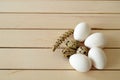 Herbs and plants in the chicken eggs, chicken nest and eggs, pictures of the eggs in the quail`s nest, chicken and quail eggs, pic Royalty Free Stock Photo