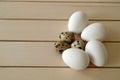 Herbs and plants in the chicken eggs, chicken nest and eggs, pictures of the eggs in the quail`s nest, chicken and quail eggs, pic Royalty Free Stock Photo