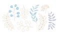 Herbs and plants vector collection. Winter plant set. Vector hand drawn winter Freehand linear elements. Seasonal doodle