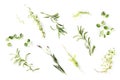 The herbs of Provence. Rosemary, oregano, lavender, thyme, and marjoram, overhead shot