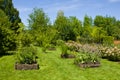 Herbs in Provins rose garden