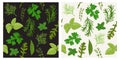 Herbs seamless pattern modern green Royalty Free Stock Photo