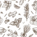 Herbs sketch pattern background. Vector seamless design of herbal tea Royalty Free Stock Photo