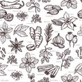 Herbs And Spice Sketch Pattern