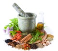 Herbs and spices Royalty Free Stock Photo