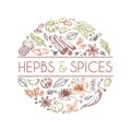 Herbs and spices background. Hand drawn asian food. Indian cooking herbs vector engraved style