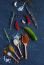Herbs and spices on black background in the form of a frame. Food background. measuring spoon . spice spoon Royalty Free Stock Photo