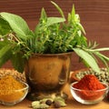 Herbs and spices Royalty Free Stock Photo