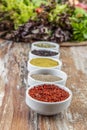 Herbs and spices in ceramic bowls. Aromatic ingredients and natural food additives Royalty Free Stock Photo