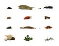 Herbs And Spices - Chart