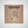 Herbs and Spices Collection - Cinnamomum