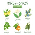 Herbs and spices collection 1
