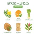 Herbs and spices collection 5 Royalty Free Stock Photo