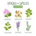 Herbs and spices collection 8 Royalty Free Stock Photo