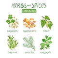 Herbs and spices collection 6 Royalty Free Stock Photo