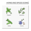 Herbs and spices color icons set Royalty Free Stock Photo