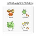 Herbs and spices color icons set Royalty Free Stock Photo