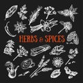 Herbs and Spices condiments 2