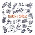 Herbs and Spices condiments 1
