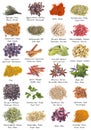 Herbs and spices for cooking Royalty Free Stock Photo