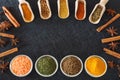 Herbs, spices and food additives on a dark background with an empty place