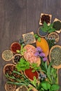 Herbs and Spices Royalty Free Stock Photo