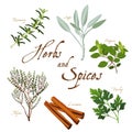 Herbs and Spices for Cooking and Baking