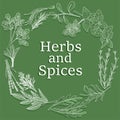 Herbs and spices. Hand drawn leaves. Round frame. Peppermint basil marjoram. Label or emblem design. Condiment isolated