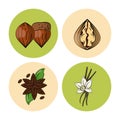 Herbs and spices icons