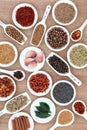 Herbs and Spices Royalty Free Stock Photo